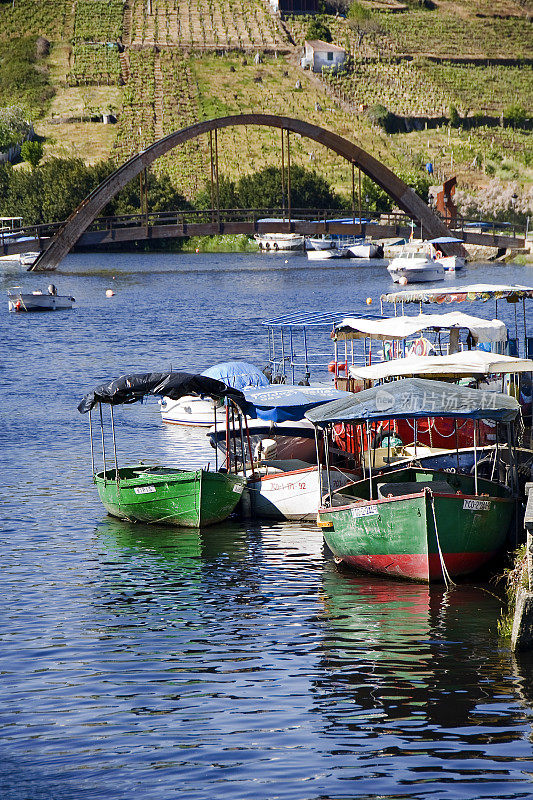 Betanzos wooden footbridge, vineyards and group of nautical vessels. A Coruña province , Galicia, Spain.